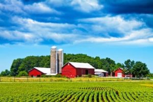 Vibrant farm scene with red barns, silos, and lush green fields under a clear blue sky, exemplifying the protected agricultural landscapes of Farms insured by Huff Insurance in Pasadena, MD