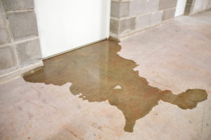 Basement Water Damage, Water Coming Under Basement Door, Huff Insurance, Pasadena MD