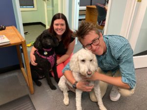 Pet Insurance from Huff Insurance